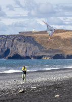 Quantum 2.0 Sport Kite - Mylar Special Edition Beginner Stunt Kite Prism Kites - Great Canadian Kite Company