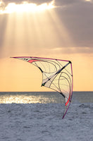 Quantum 2.0 Sport Kite - Mylar Special Edition Beginner Stunt Kite Prism Kites - Great Canadian Kite Company