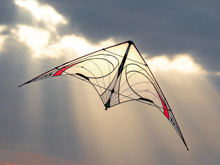 Quantum 2.0 Sport Kite - Mylar Special Edition Beginner Stunt Kite Prism Kites - Great Canadian Kite Company