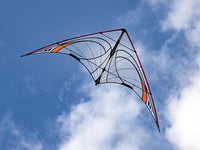 Quantum 2.0 Sport Kite - Mylar Special Edition Beginner Stunt Kite Prism Kites - Great Canadian Kite Company