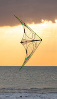 Quantum 2.0 Sport Kite - Mylar Special Edition Beginner Stunt Kite Prism Kites - Great Canadian Kite Company